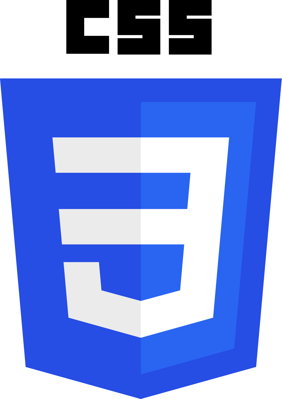 logo de CSS 3 